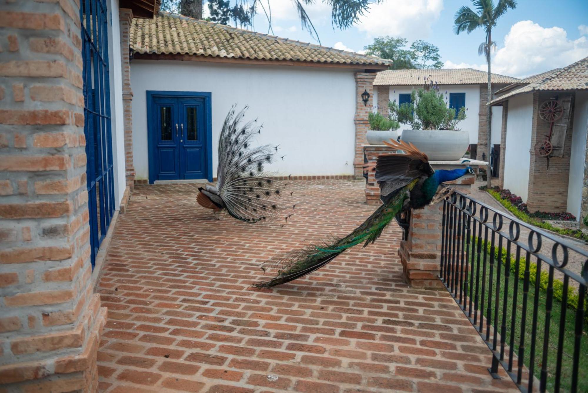 Hotel Fazenda Sao Silvano Murungaba Exterior foto